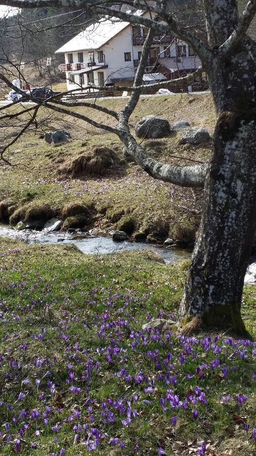 Cabana Barlogul Lupilor Villa Berevoesti Dış mekan fotoğraf