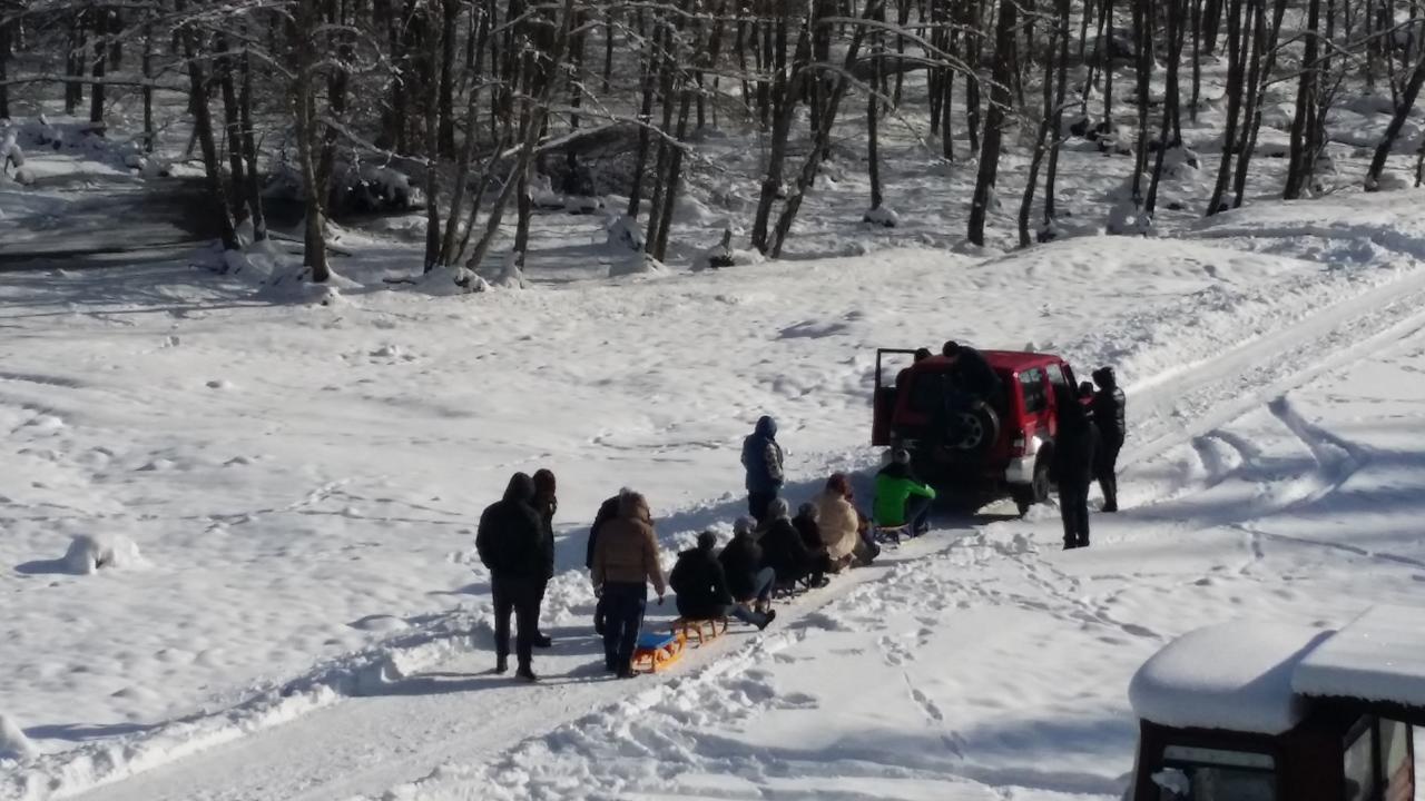 Cabana Barlogul Lupilor Villa Berevoesti Dış mekan fotoğraf