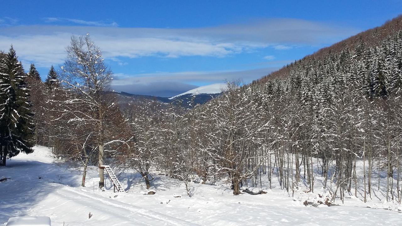 Cabana Barlogul Lupilor Villa Berevoesti Dış mekan fotoğraf